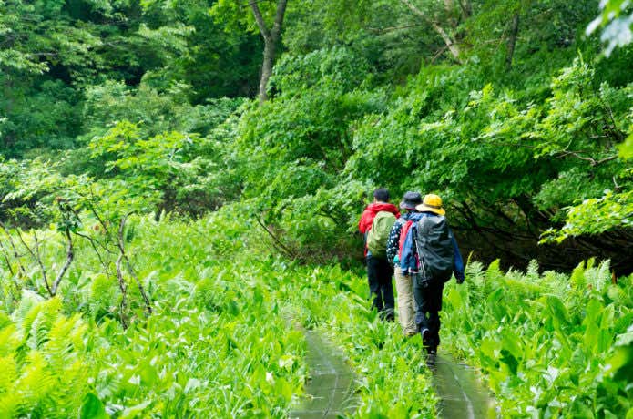 雨の中の登山