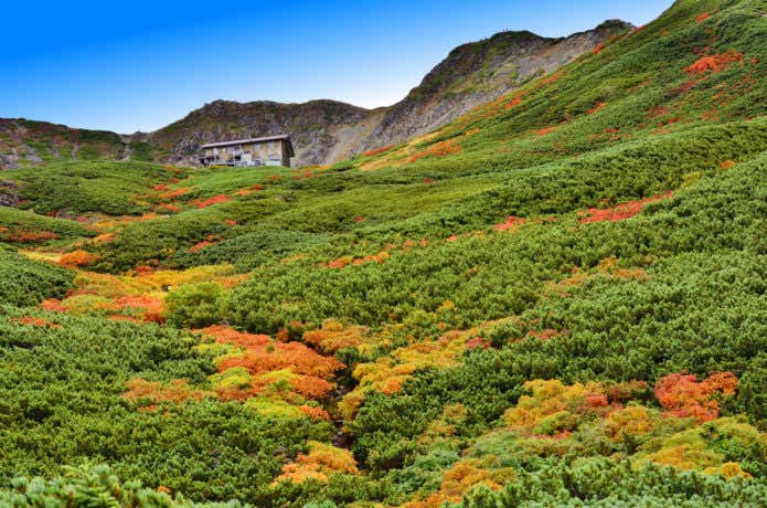 紅葉期の仙丈ケ岳