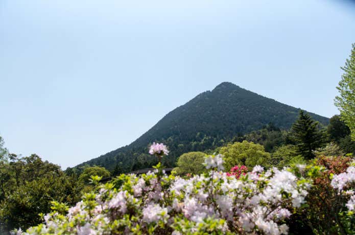 つつじ咲く三上山