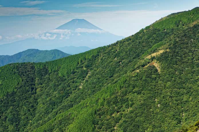 大倉尾根