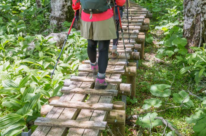 木道を歩く登山者