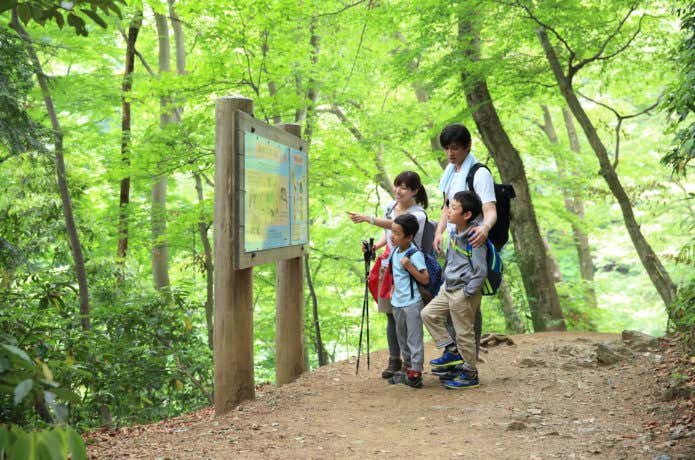 子供と一緒に楽しめる！夏休みは2～3時間で行ける親子ハイキングでLet's 避暑 | YAMA HACK[ヤマハック]