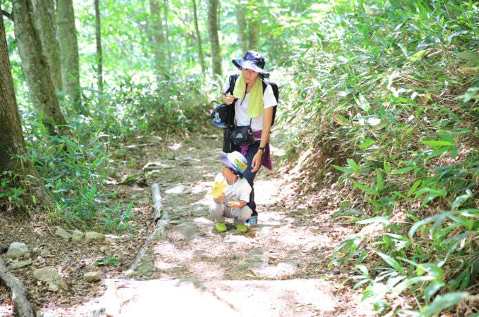夏休み　親子登山　小学校低学年