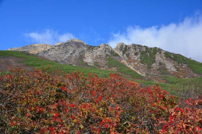 紅葉期の御嶽山