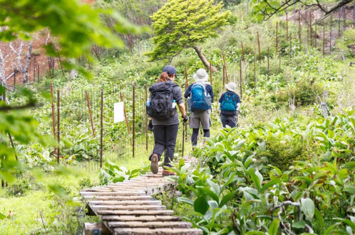 グループ登山