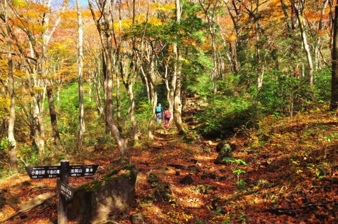 登山鉄道　山旅　浅間山
