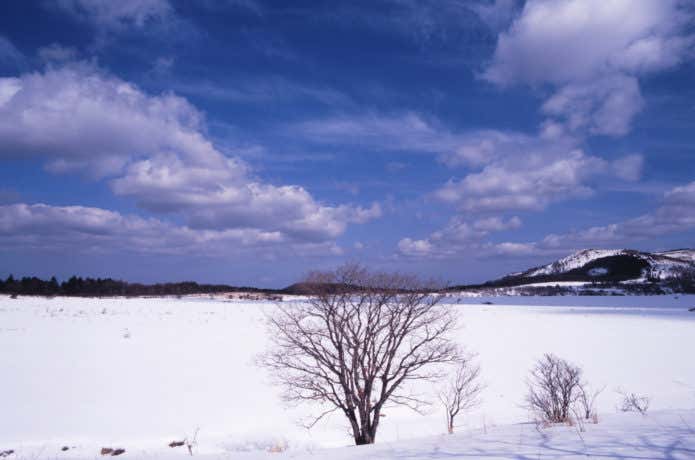 八島湿原　雪