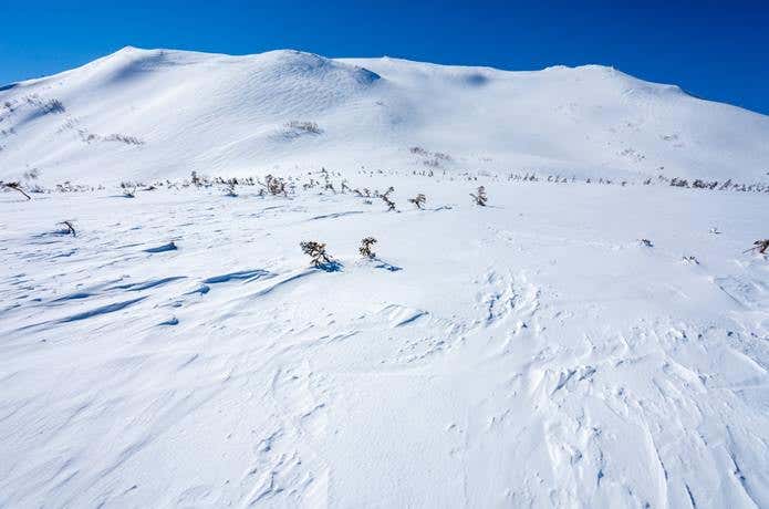 積雪期の白馬乗鞍岳