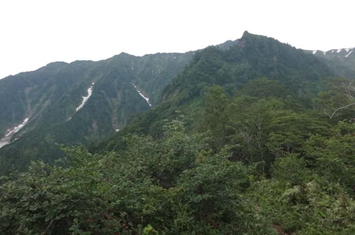 尾根道歩き