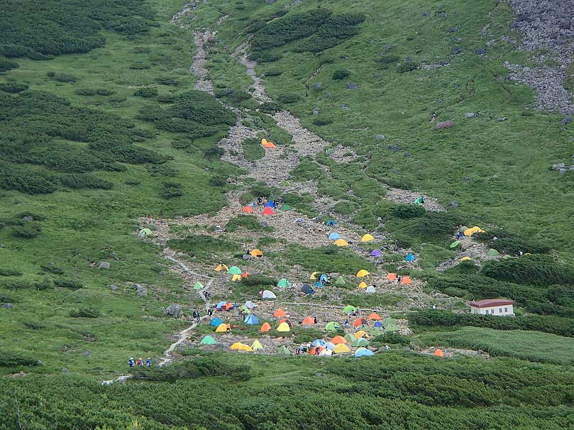 雲ノ平山荘 テント場