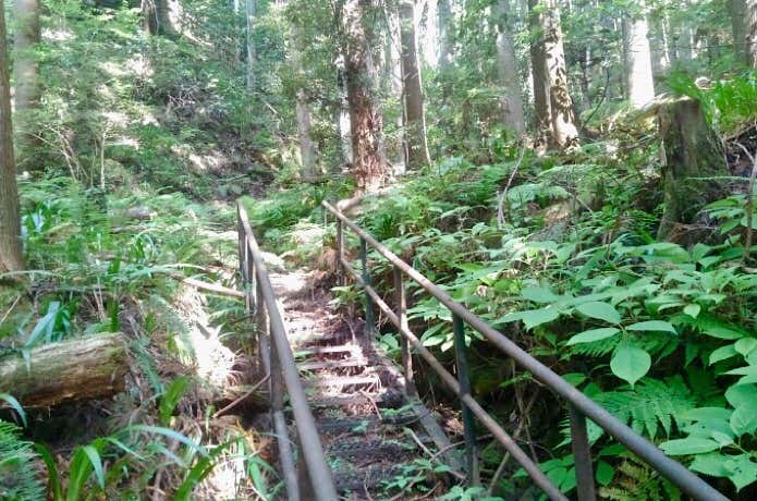 登山道の鉄階段