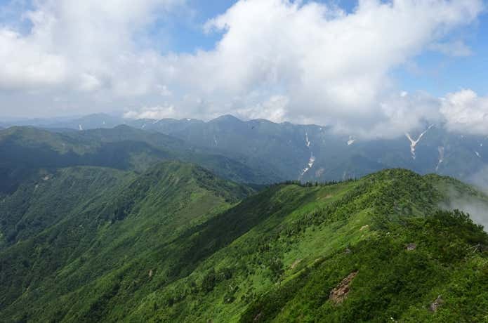 山頂からの景色