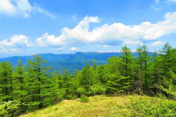 鉢伏山