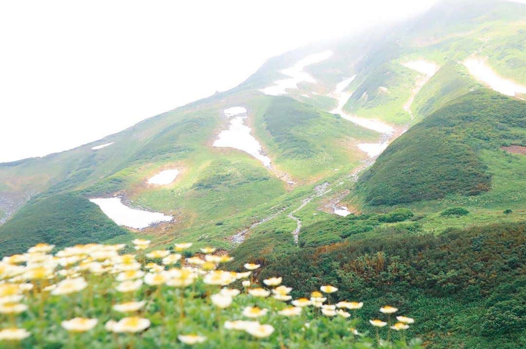 雷鳥沢キャンプ場
