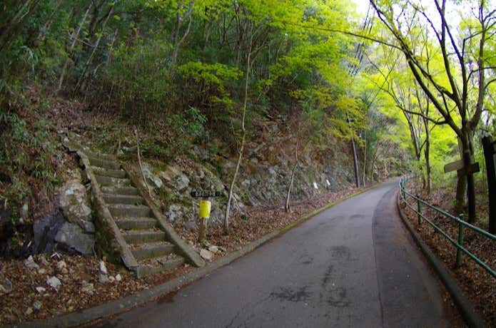 東照宮に向かう舗装路