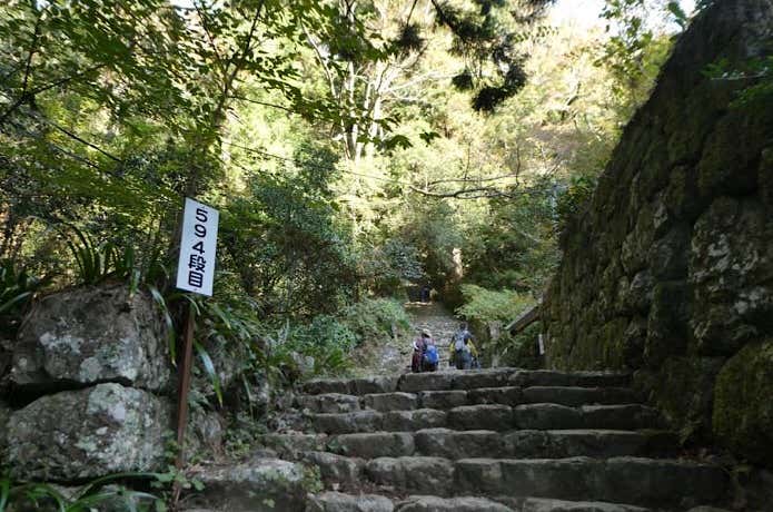 階段の登山道