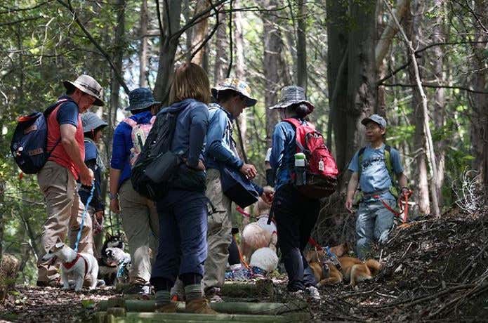 ワンコ連れ登山