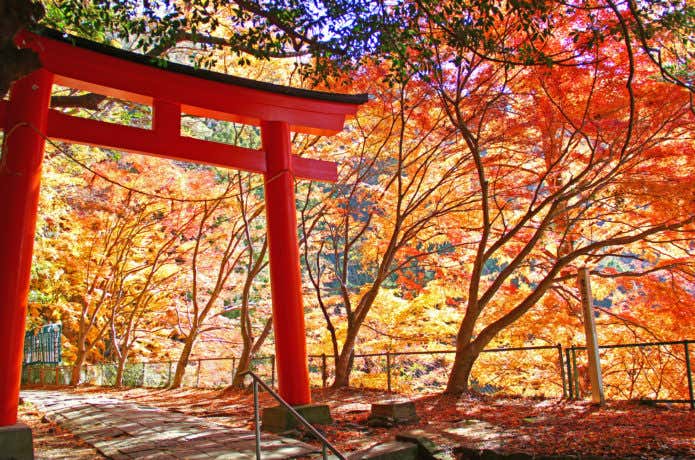 鳳来寺山の紅葉