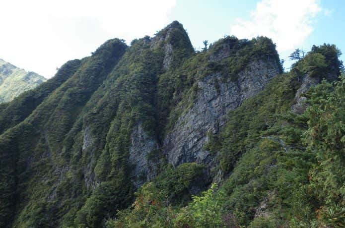荒沢岳の前グラ