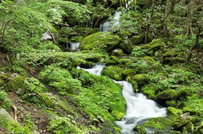 川苔山