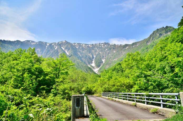 荒沢岳を見上げる