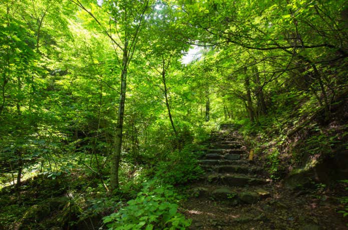 三頭山