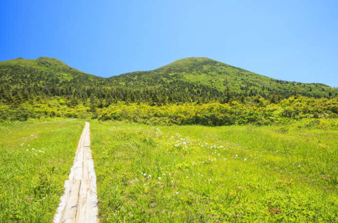 八甲田山