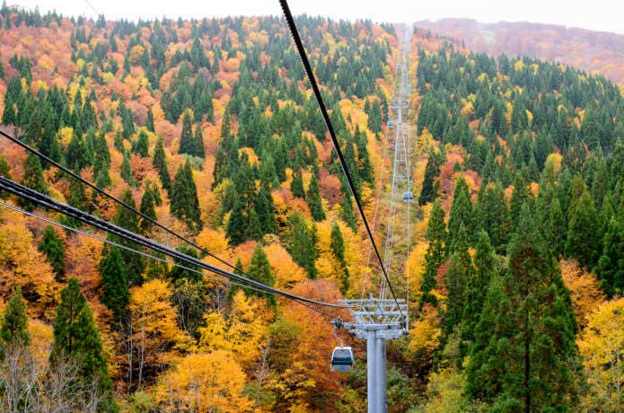 紅葉期の森吉山