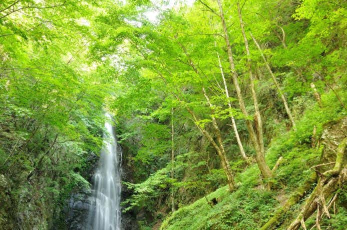 川苔山