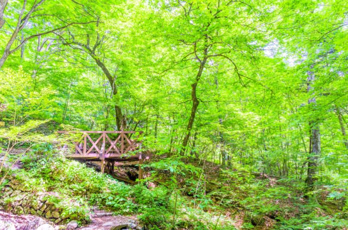 都民の森