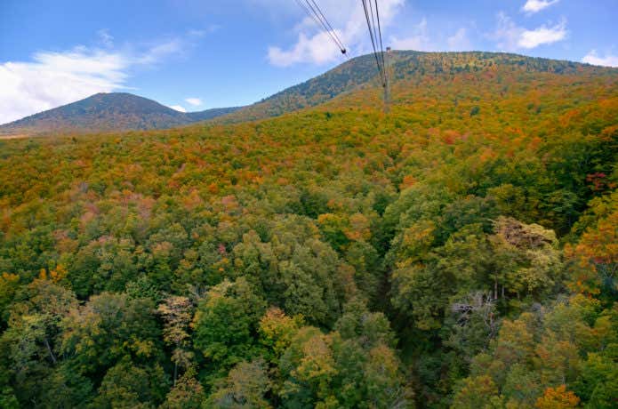 紅葉始まりの八甲田山