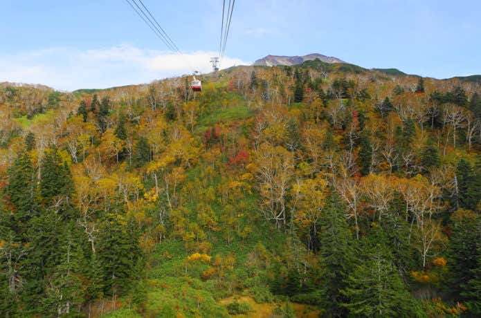 紅葉期の旭岳