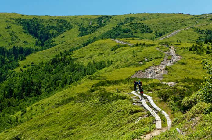登山