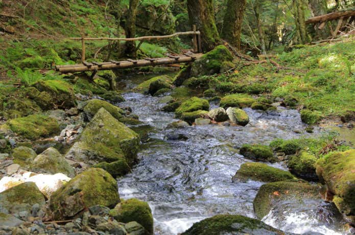 入笠山