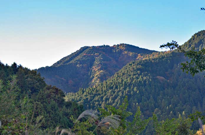 金剛山