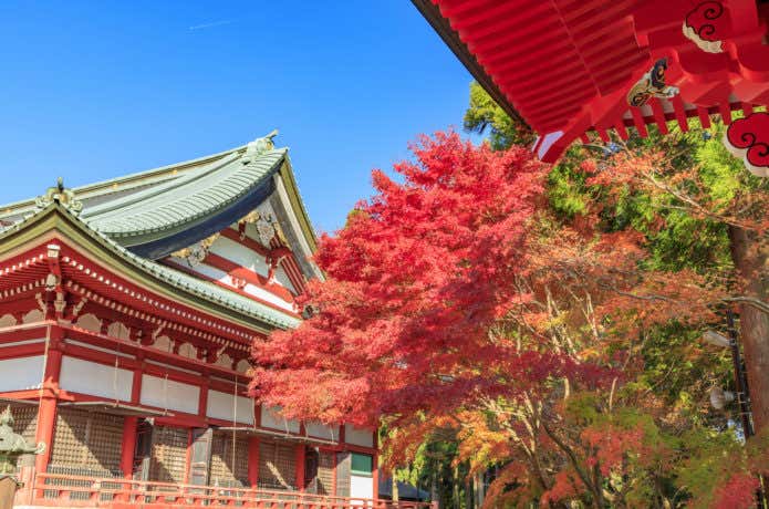 紅葉期の延暦寺