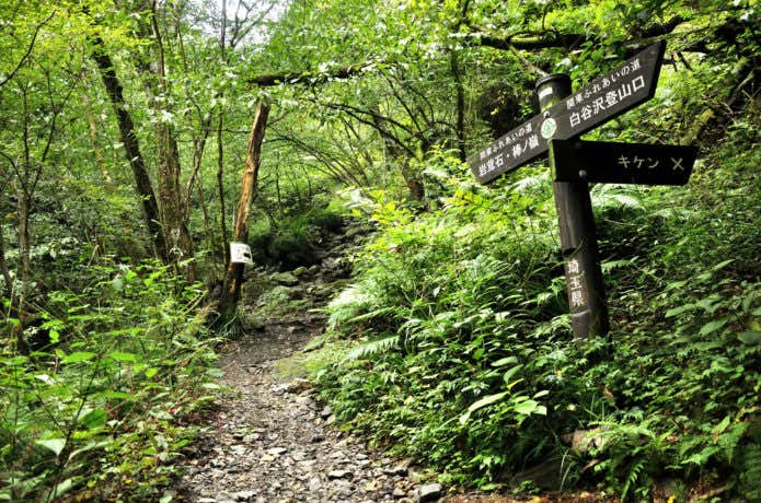 棒ノ折山