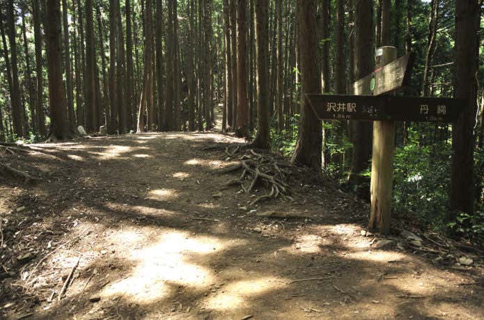 山頂