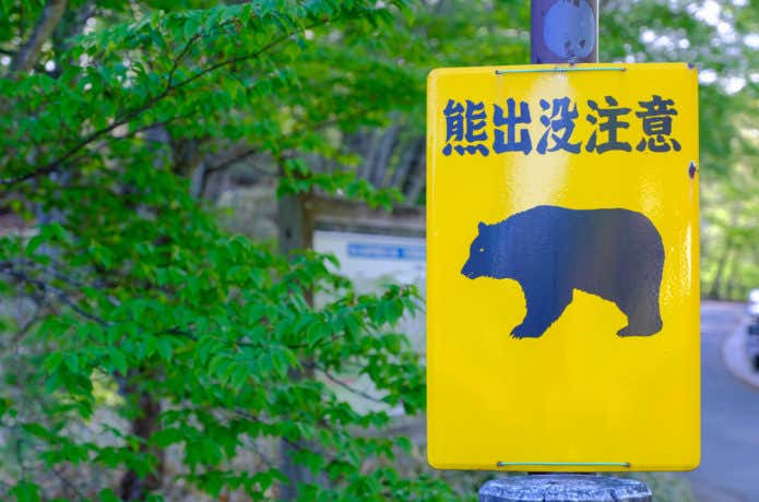 クマ注意の看板