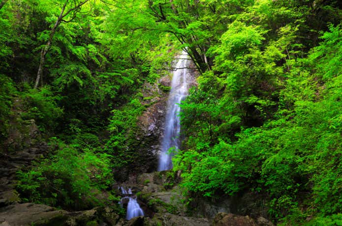 払沢の滝