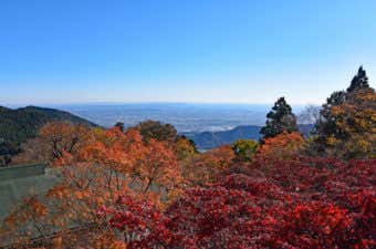 紅葉