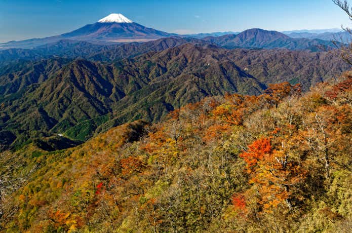 檜洞丸稜線から見る富士山