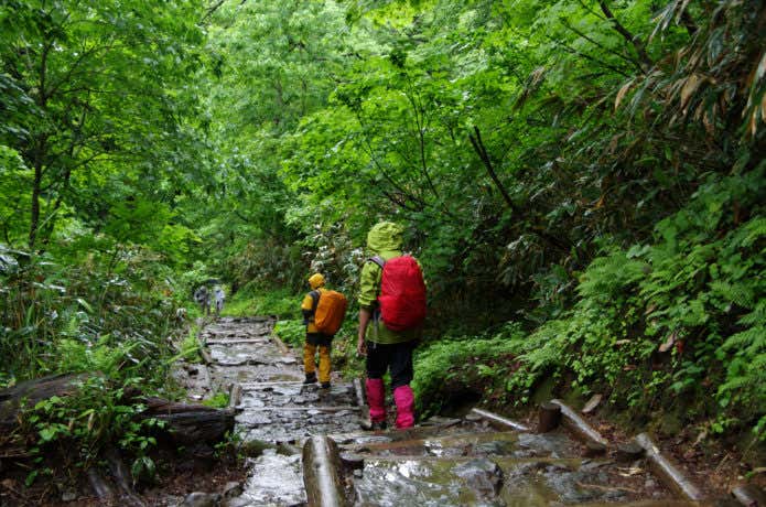 雨の日の登山