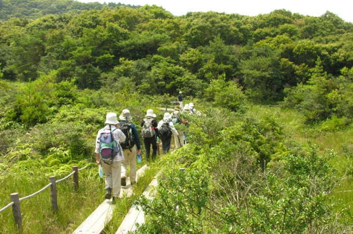 木道を歩く登山者たち