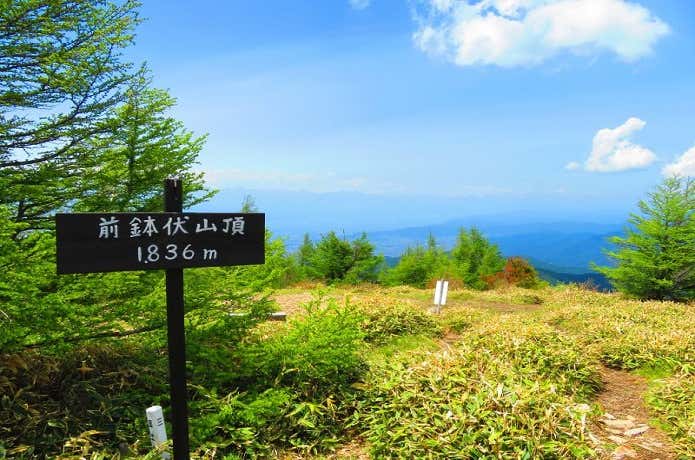 鉢伏山