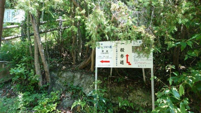 分岐点