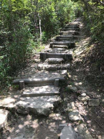 一般道の階段