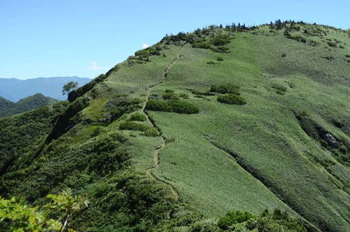 小兎岳への稜線