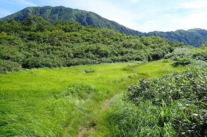 湿地帯の平坦地