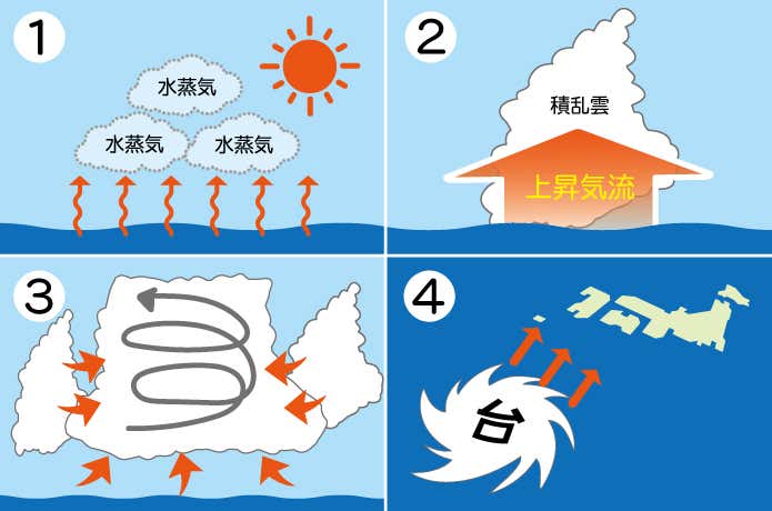 台風 仕組み